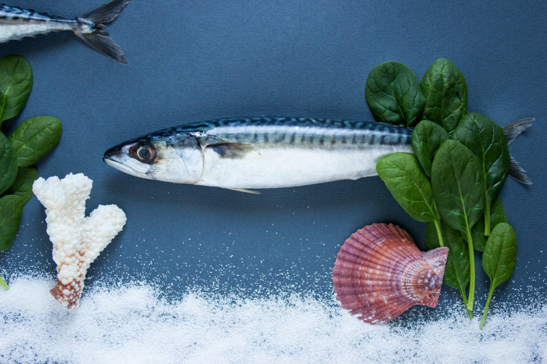 薬に頼らず元気に育つ！お魚の「自然な免疫力」を守るこだわりの育て方