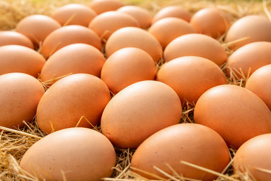 親鳥の「長生き」が食卓の安心に。温泉のめぐみが叶える優しいたまご作り